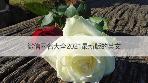 昵称202最火爆网名,2021最潮网名男图1