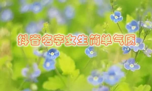 四个字昵称简单气质,四个字网名2021图2