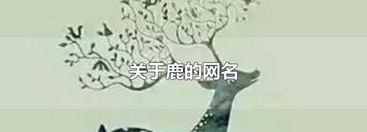 和鹿有关的昵称,仙女ins森系网名图4