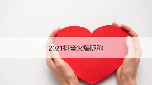 202抖音火爆昵称,202抖音流行歌图4