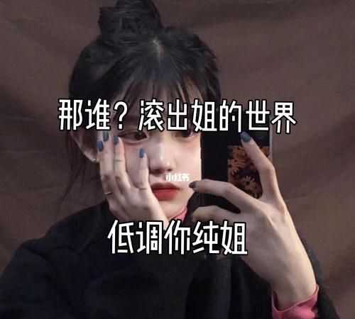 昵称拽姐,个性很拽的女生网名简短图1