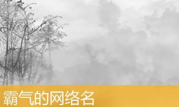 霸气的微信昵称,霸气一点的微信名字男图4