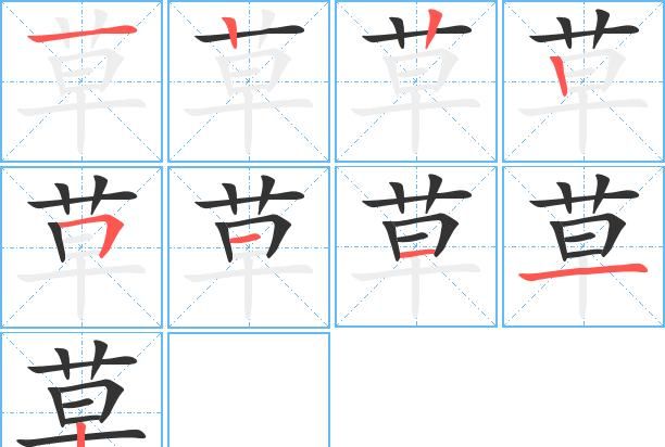 草的英文名怎么写,草英语单词怎么写图3