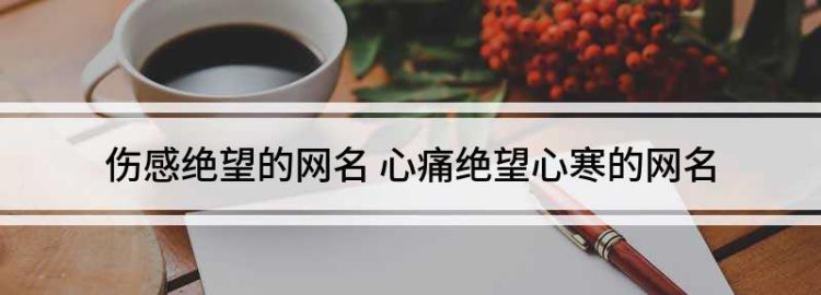 心寒心死的网名,失望心冷的网名二个字英文图2