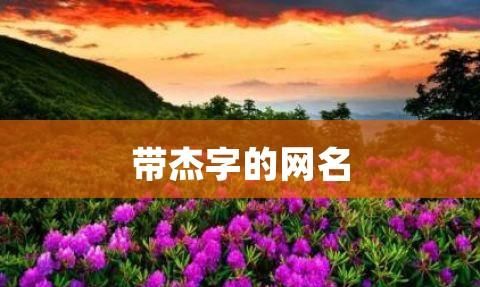 关于杰的网名,带杰的网名字好听图4