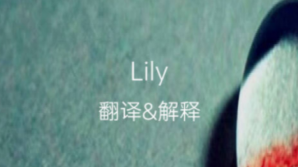 lily英文名,lily中文名叫什么怎么读图1