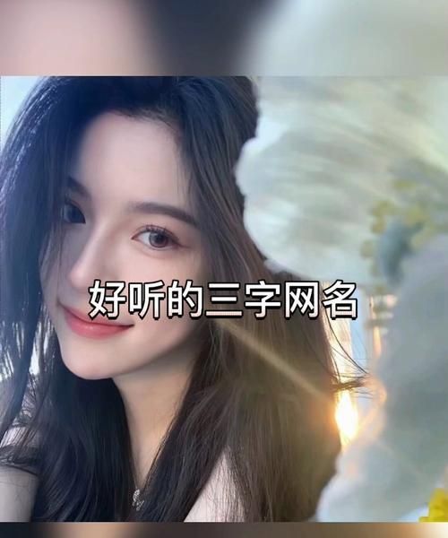 不刷礼物的网名,女人安静不想说话的网名墨幽的微信图1