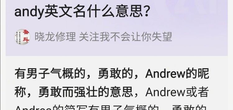 andy英文名的意思,alina英文名的含义图1