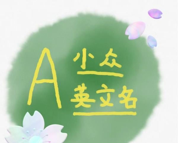 英文名ada什么意思,ada英文名有什么含义怎么读图1