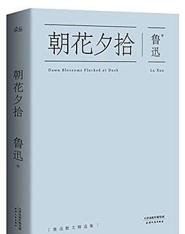 朝花夕拾英文名,朝花夕拾的英语书名怎么读图4