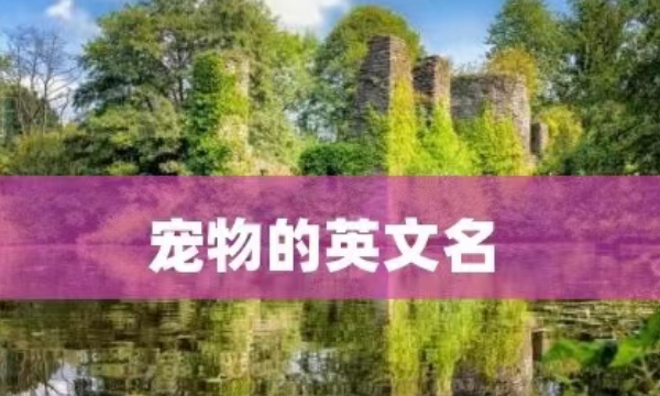 宠物的英文名字,宠物的英文名图1