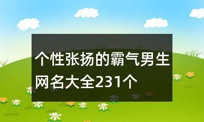 野狼网名要加点什么好,想要一个与狼有关的网名女图4