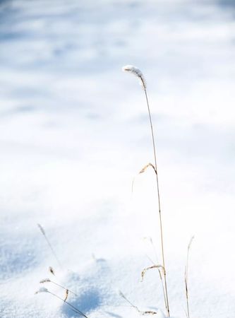 昵称初雪未央的意思,适合女生的笔名 有深意文艺图3