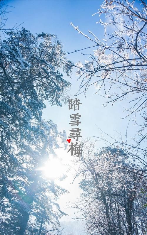 昵称初雪未央的意思,适合女生的笔名 有深意文艺图4