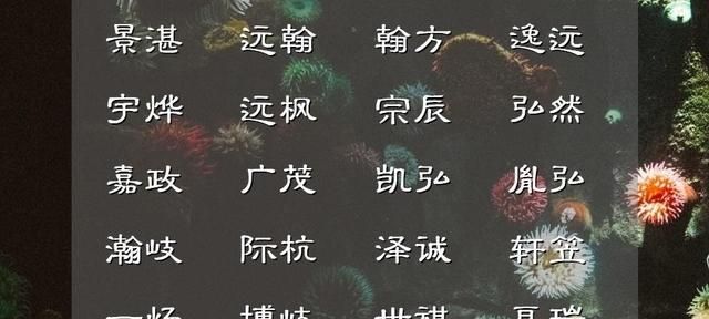 欣的男孩名字,男孩取名用欣字寓意图1