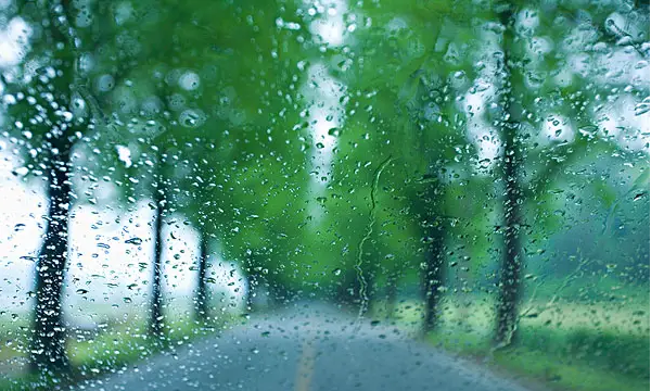 雨露名字的由来,为什么把春雨比作甘露图4