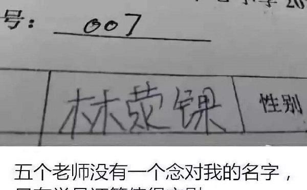 顾字的名字有哪些,姓顾的男孩名字霸道总裁图3