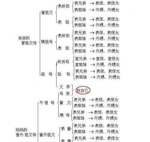 家谱名字怎么排序,族谱字辈排序大全图2